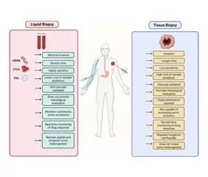 a diagram of a person's body