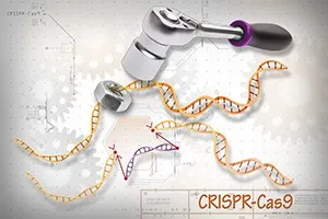 CRISPR Gene Editing