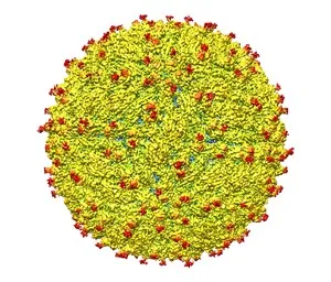 a circular arrangement of small red and yellow flowers