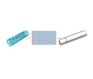 a blue and white toothbrush and a tube of toothpaste