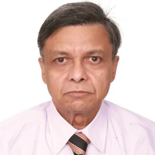 Pradeep Kumar Ray