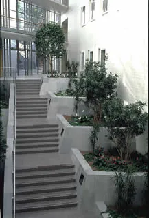 Designing for the senses and place for social interaction.