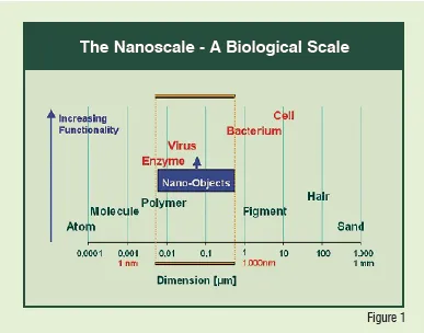 The Nanoscale - A Biological Scale