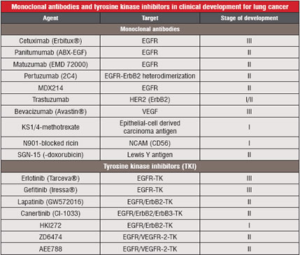 Monoclonal Antibodies and Tyrosine Kinase inhibitors in Clinical Development for Lung Cancer