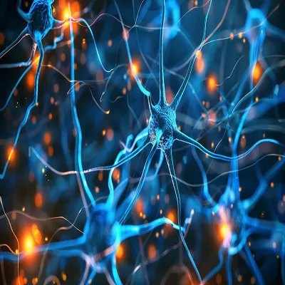CCR5 Modulation as a Systems-Level Strategy for Addressing Neuropathic Pain