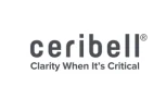 Ceribell Secures CMS New Technology Add-On Payment for Point-of-Care Delirium Monitor System