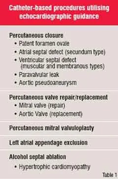 Catheter Based Procedures