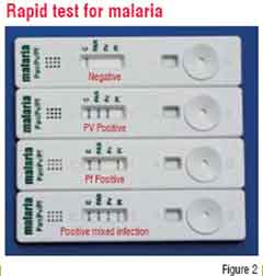 Rapid Tests Malaria