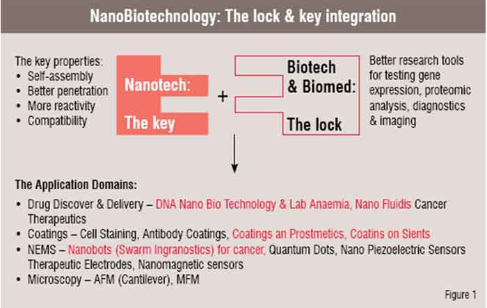 Nano Biotechnology: The lock and key integration